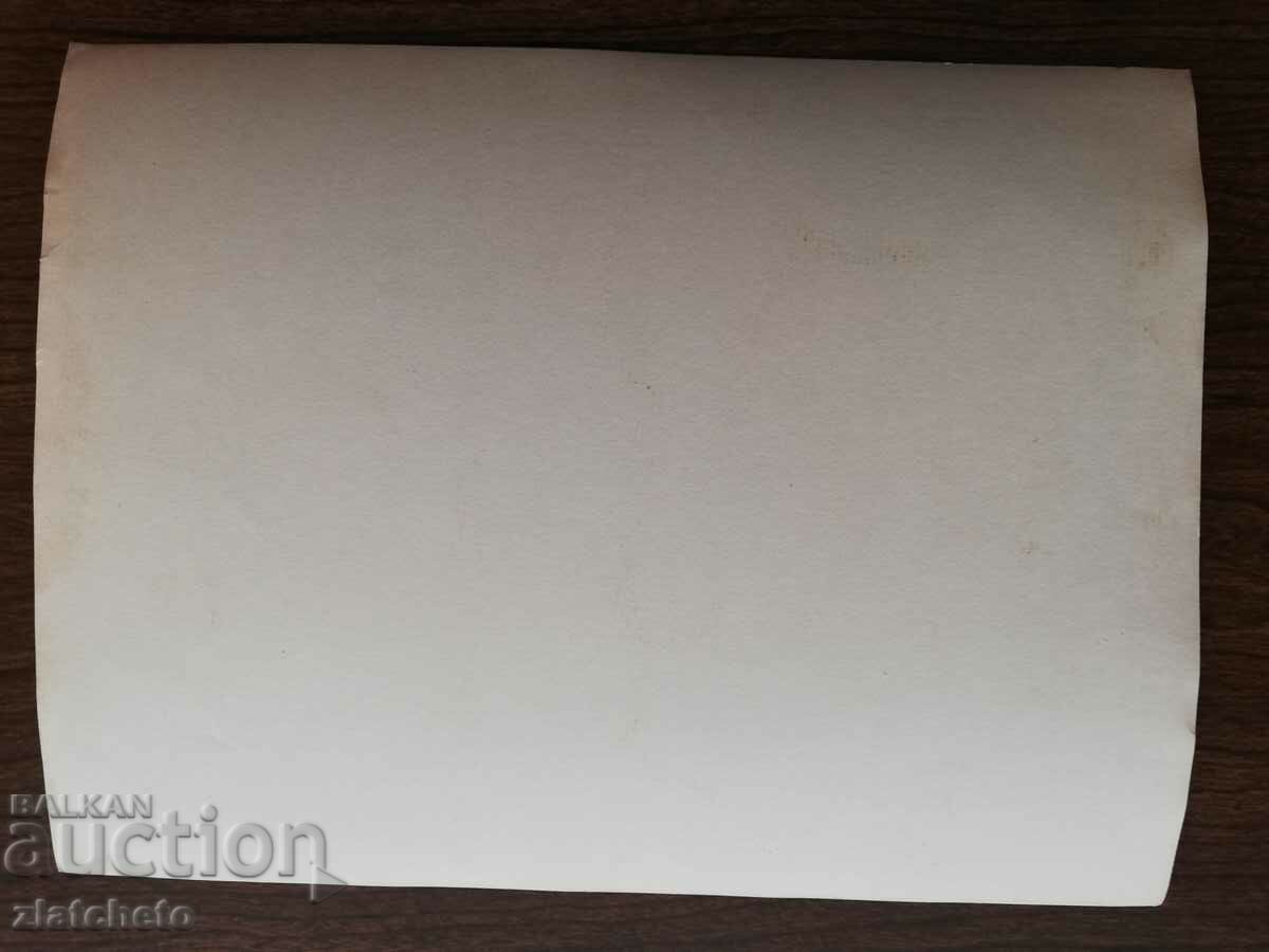 Auction  Old photo Soc - Bulgarian delegates in the USSR Moscow