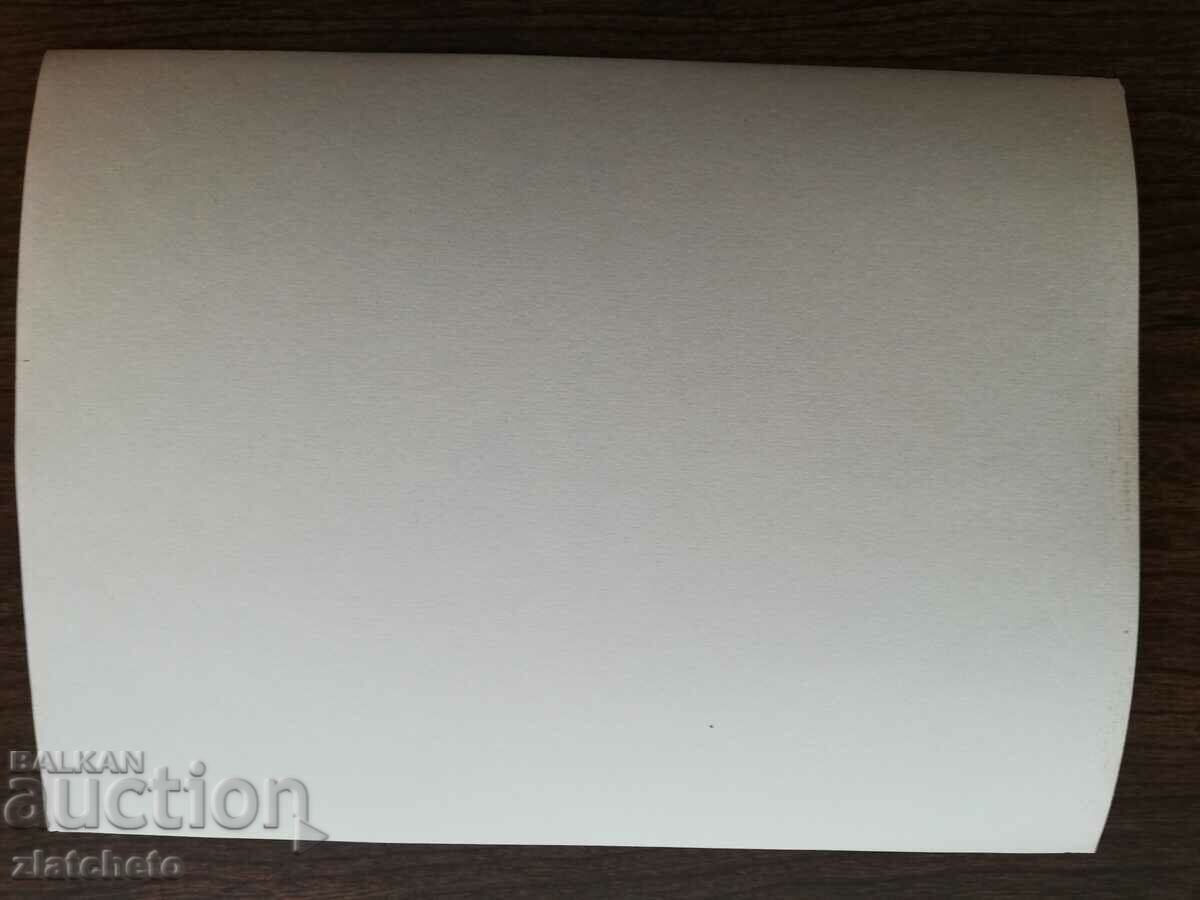 Auction  Old photo Soc - Bulgarian delegates in the USSR Moscow