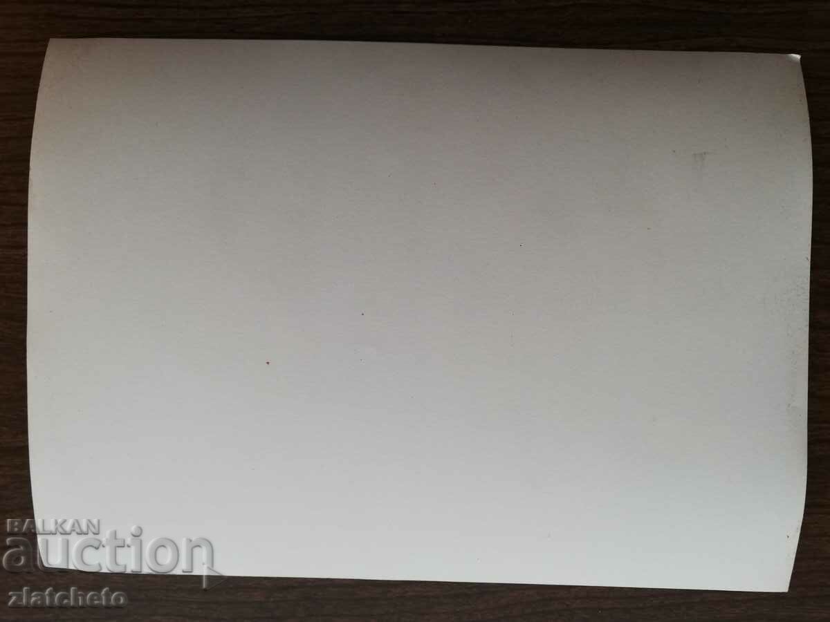 Auction Old photo Soc - Bulgarian delegates in the USSR Moscow Auction Old photo Soc - Bulgarian delegates in the USSR Moscow