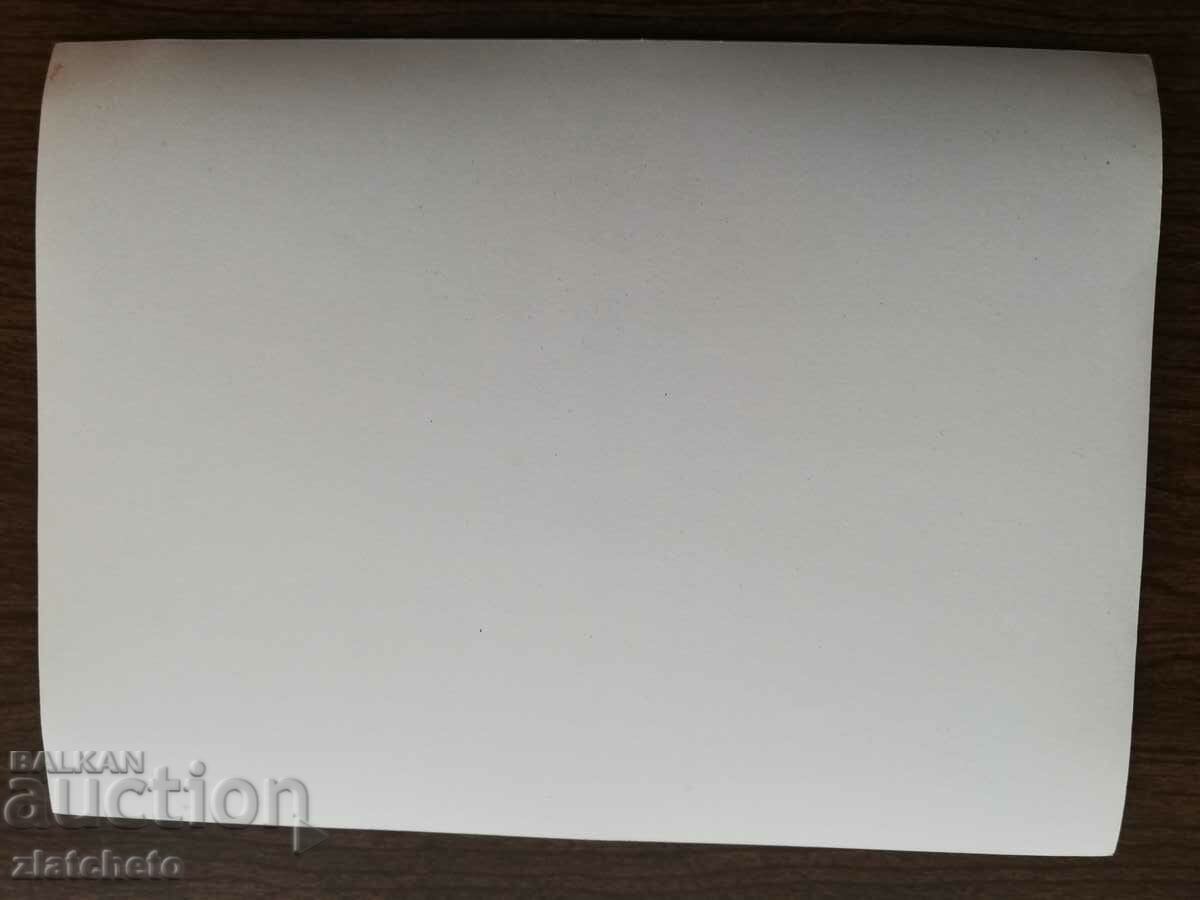 Auction Old photo Soc - Bulgarian delegates in the USSR Moscow Auction Old photo Soc - Bulgarian delegates in the USSR Moscow