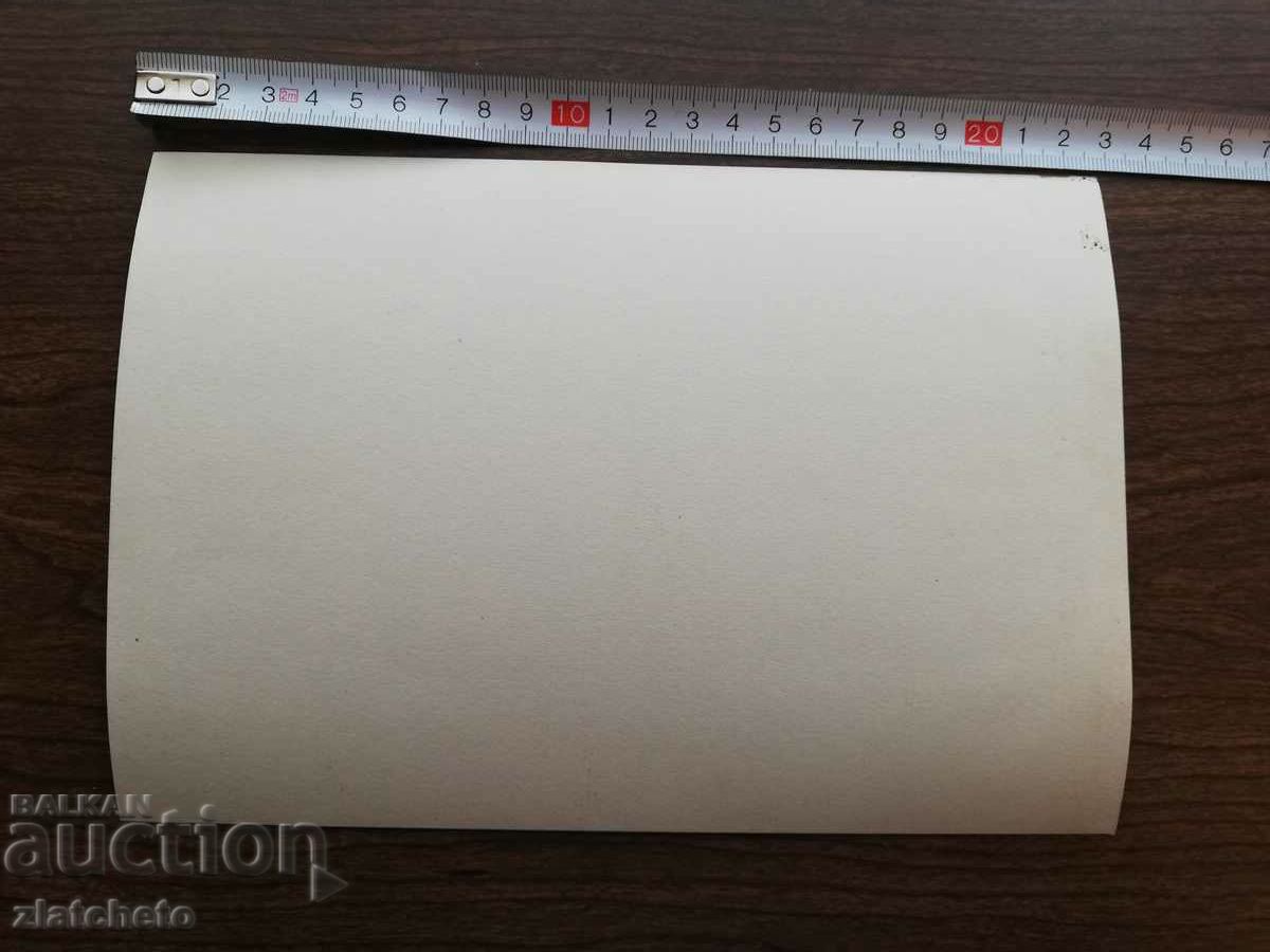 Auction  Old photo Soc - Bulgarian delegates in the USSR Moscow