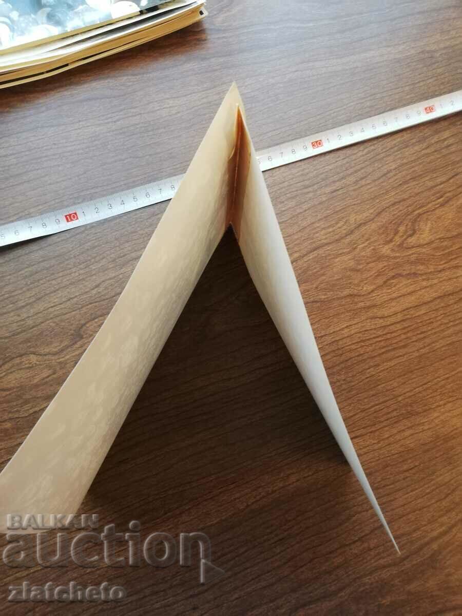 Delivery of Old photo Soc - Bulgarian delegates in the USSR Moscow Delivery of Old photo Soc - Bulgarian delegates in the USSR Moscow