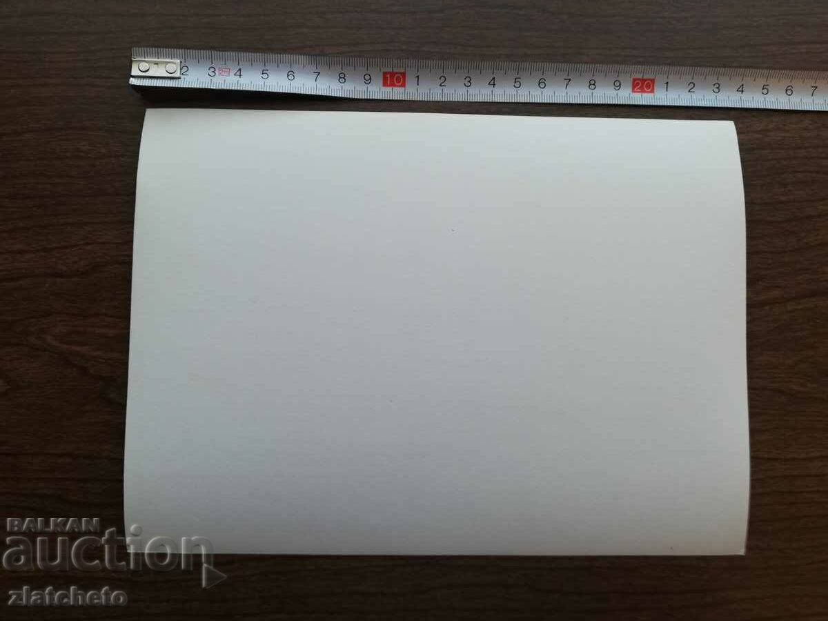 Auction Old photo Soc - Bulgarian delegates in the USSR Moscow Auction Old photo Soc - Bulgarian delegates in the USSR Moscow