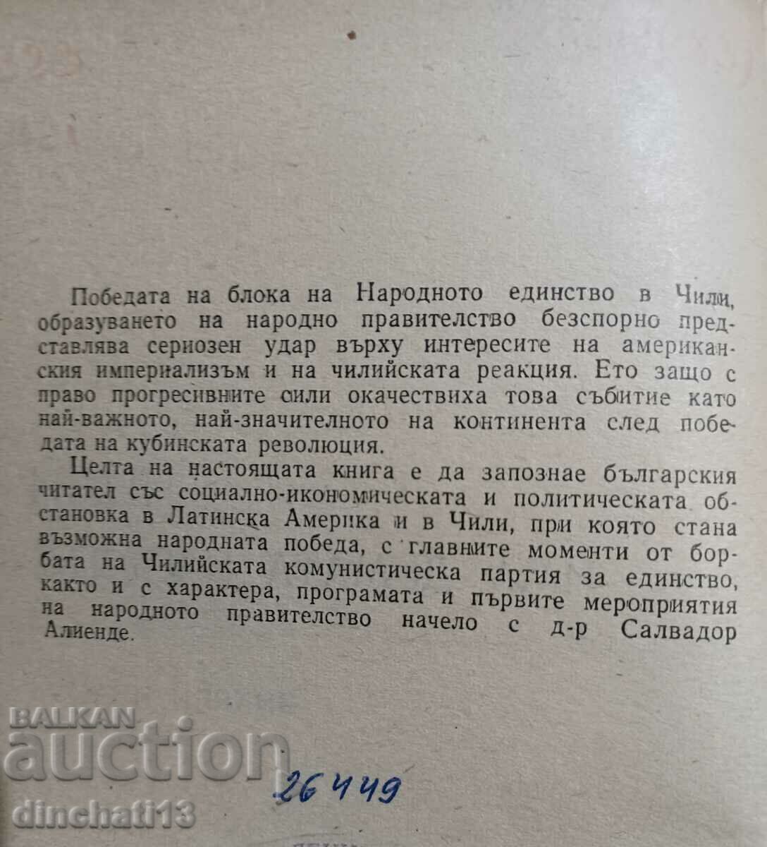 Auction Chile: The people have a say - Vihren Ivanov Auction Chile: The people have a say - Vihren Ivanov