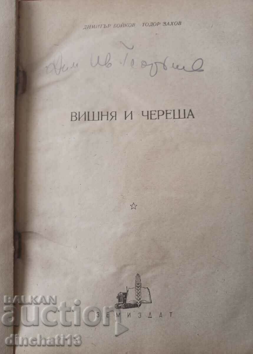 Cherry and cherry. Production of cherries and sour cherries with price 16.00 BGN | € 8.18