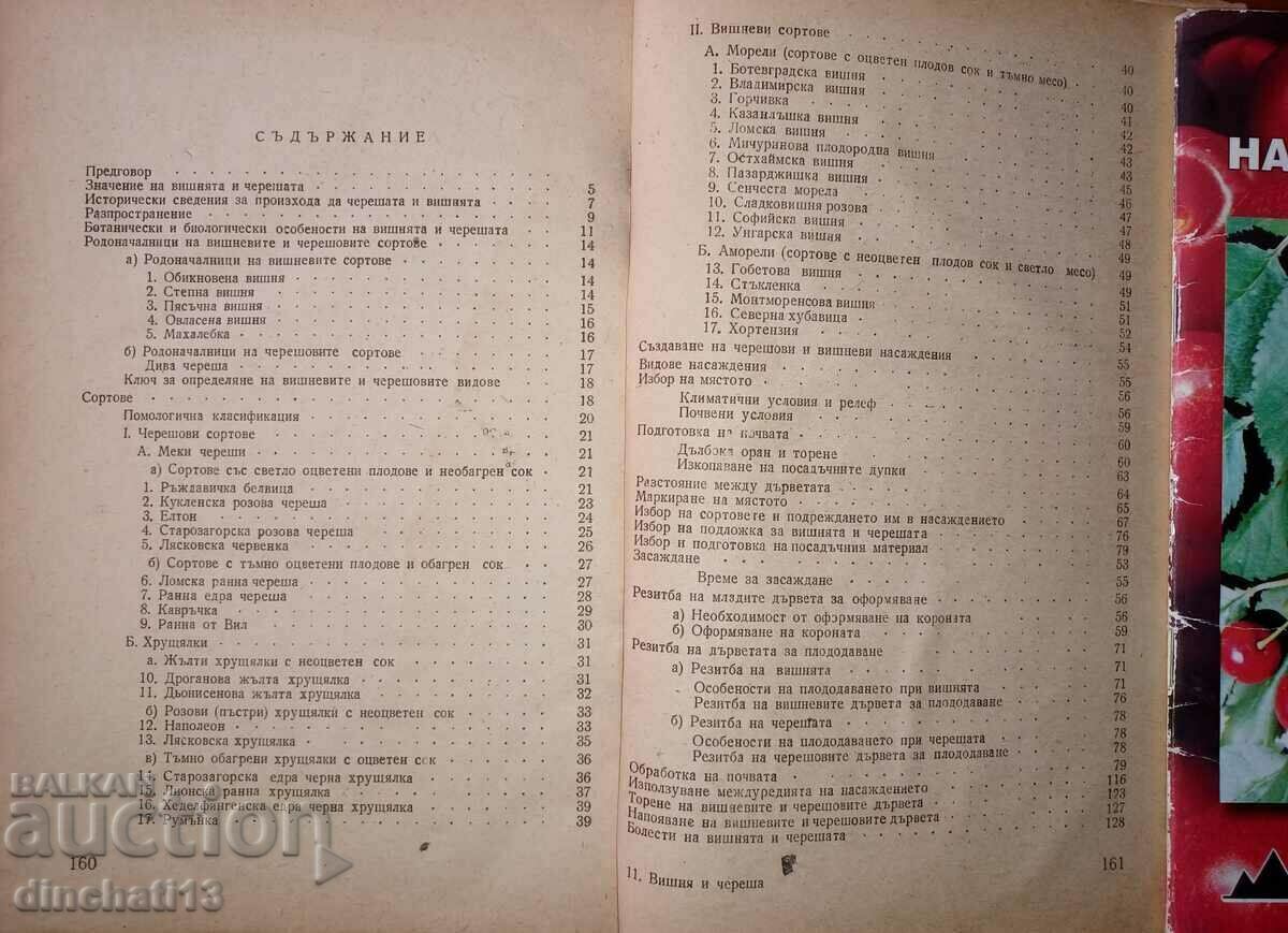 Auction  Cherry and cherry. Production of cherries and sour cherries