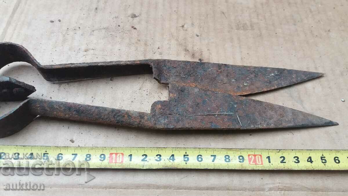 Delivery of REVIVAL SHEEP SHEARS Delivery of REVIVAL SHEEP SHEARS