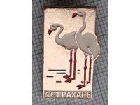 11920 Badge - Astrakhan