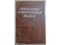 Υποθάλαμος και θυρεοειδής αδένας: B. Aleshin, V. Gubsky