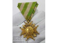Rare Medal for the Ascension of Prince Ferdinand I 1887 2st.