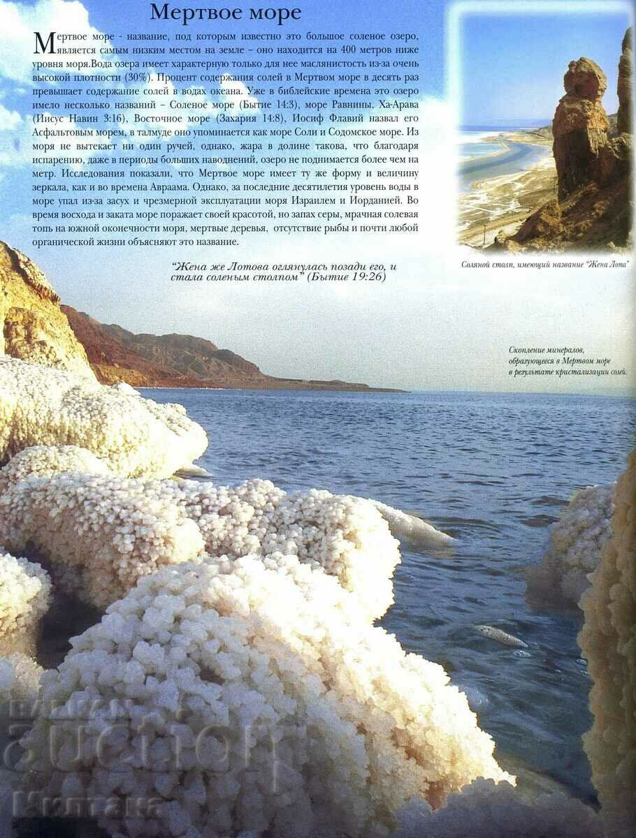 Delivery of I follow Christ