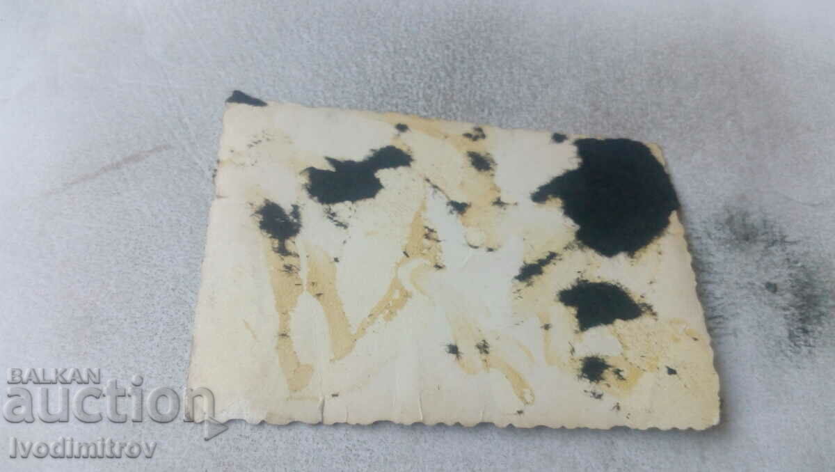 Photo Young man in shorts with price 2.35 BGN | € 1.20