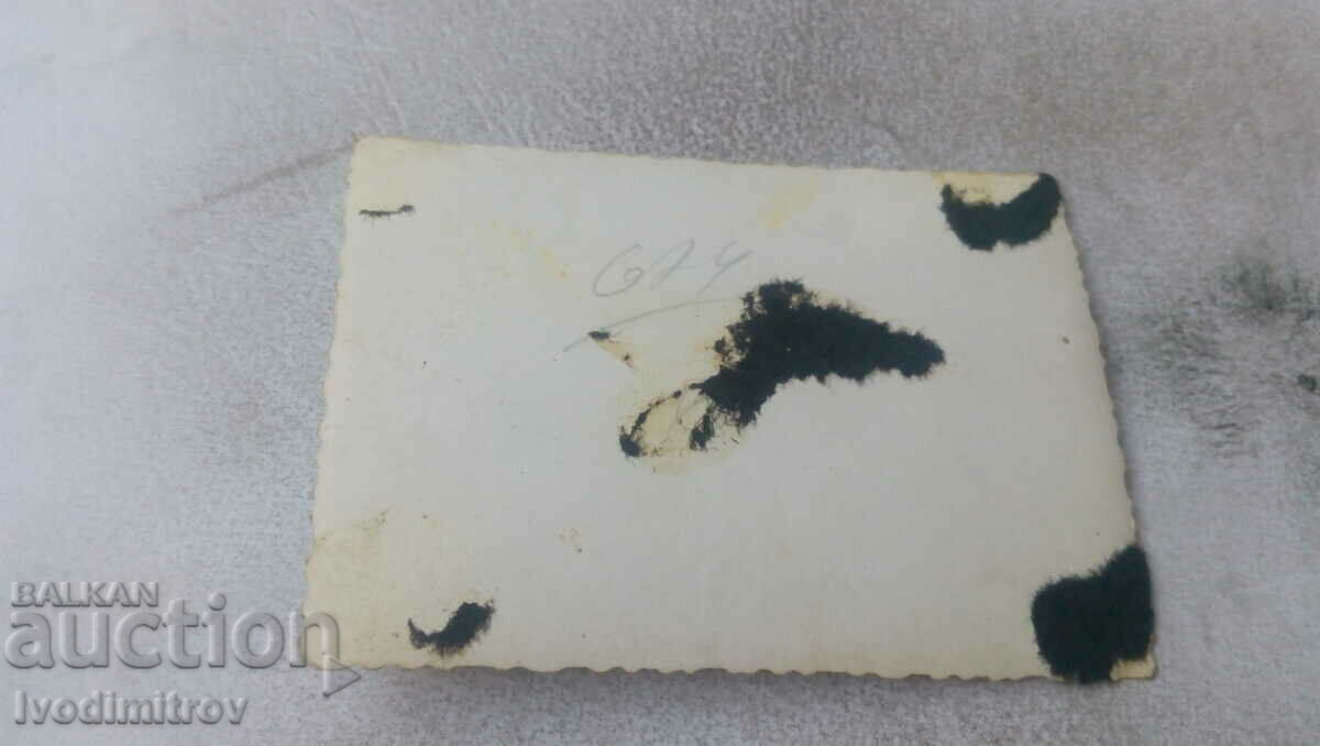 Photo Two young men and three girls lying down on the lawn with price 1.65 BGN | € 0.84 Photo Two young men and three girls lying down on the lawn with price 1.65 BGN | € 0.84