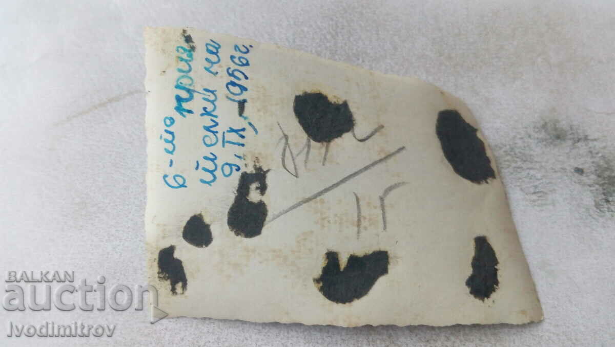 Photo Sofia Six young girls 1956 with price 1.65 BGN | € 0.84 Photo Sofia Six young girls 1956 with price 1.65 BGN | € 0.84