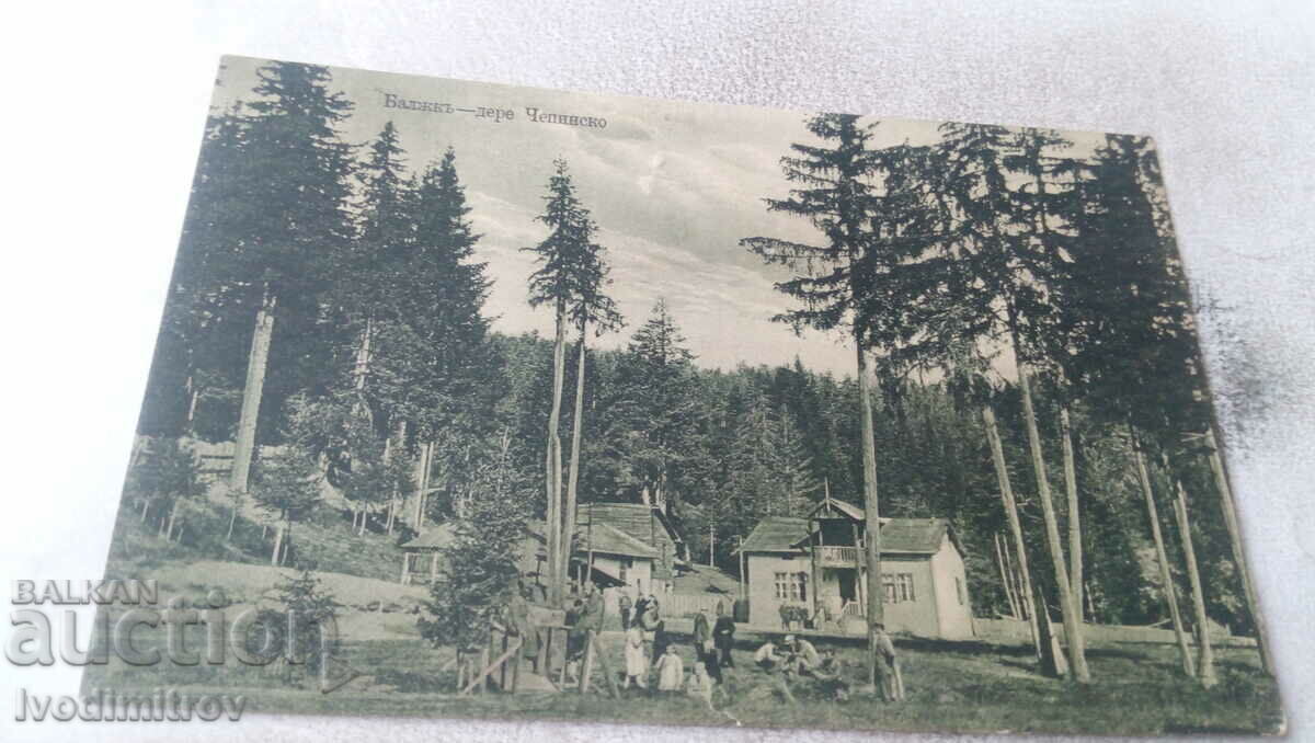 Пощенска картичка Балъкъ-Дере Чепинско 1927