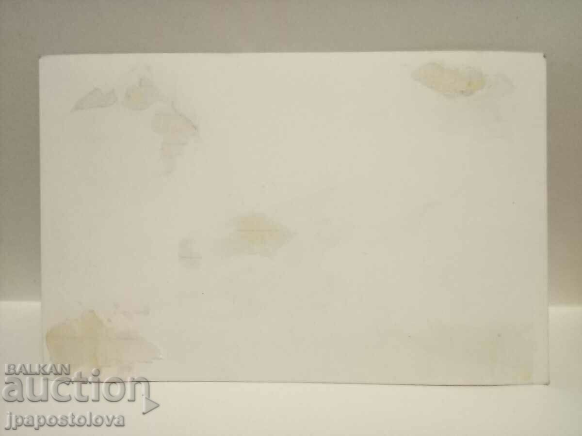 old postcard - Batak with price 3.50 BGN | € 1.79 old postcard - Batak with price 3.50 BGN | € 1.79