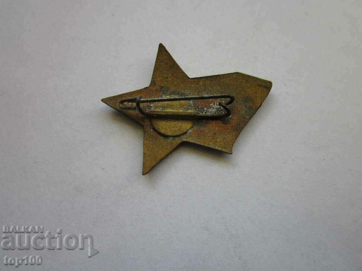 ENAMEL BADGE BNJS BZC !!! with price 2.00 BGN | € 1.02