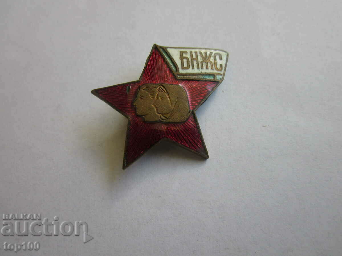 Auction  ENAMEL BADGE BNJS BZC !!!