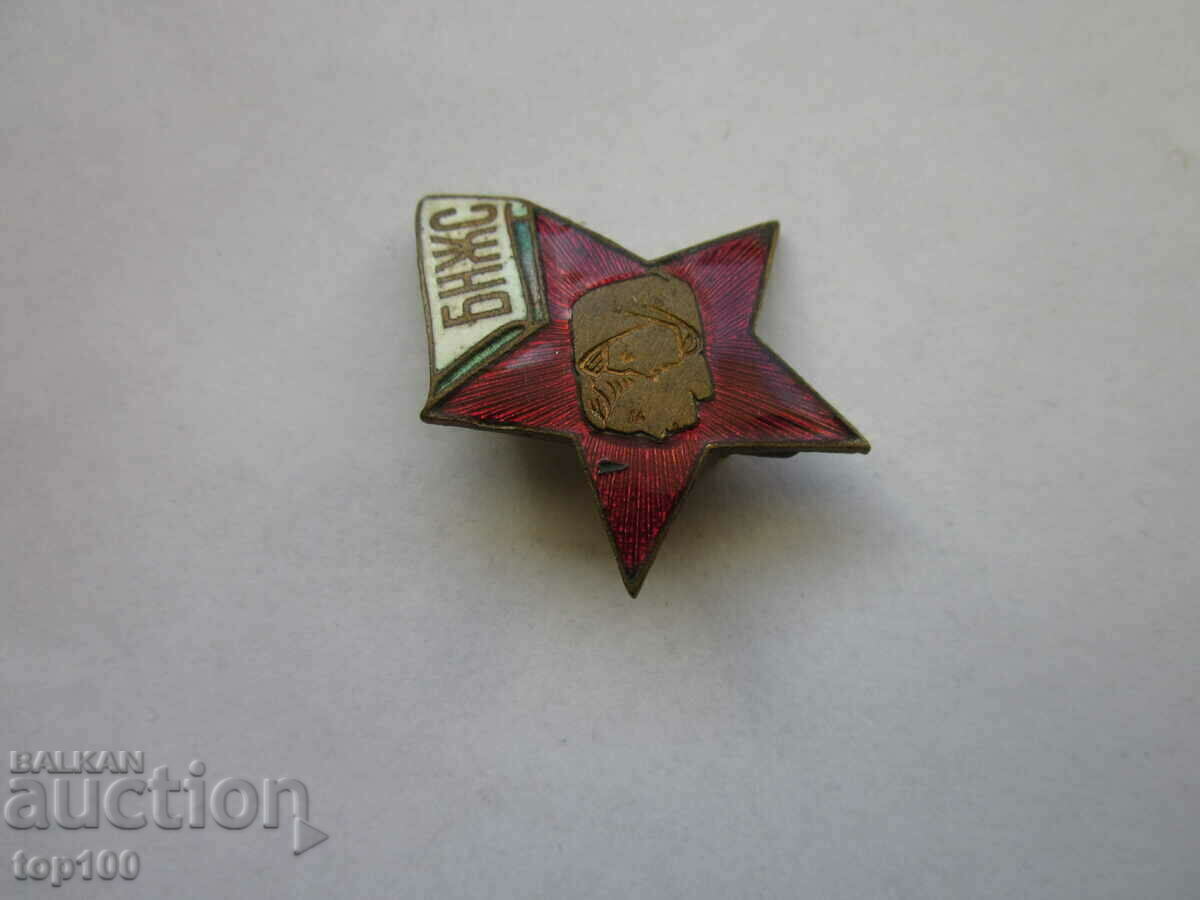 Delivery of ENAMEL BADGE BNJS BZC !!!