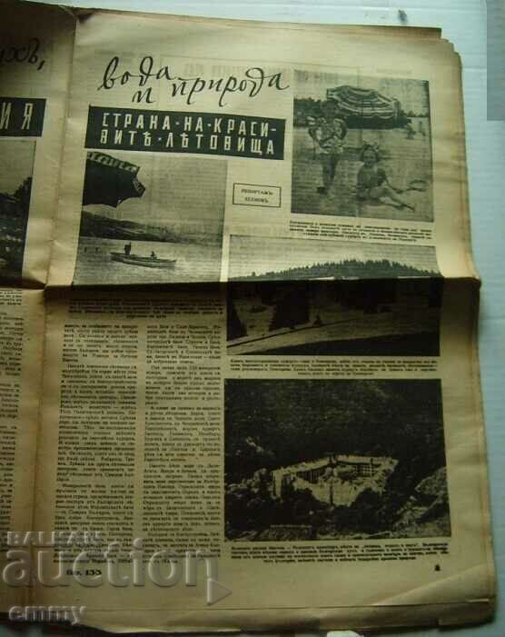 Auction  Newspaper "Nashenets" / Nashenets with "Papagal" 1943, issue 133