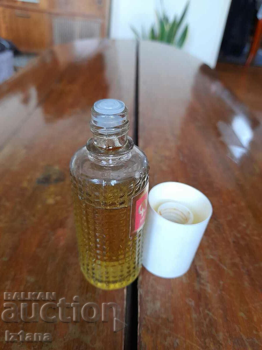 Delivery of Old cologne Rose, Rose Delivery of Old cologne Rose, Rose