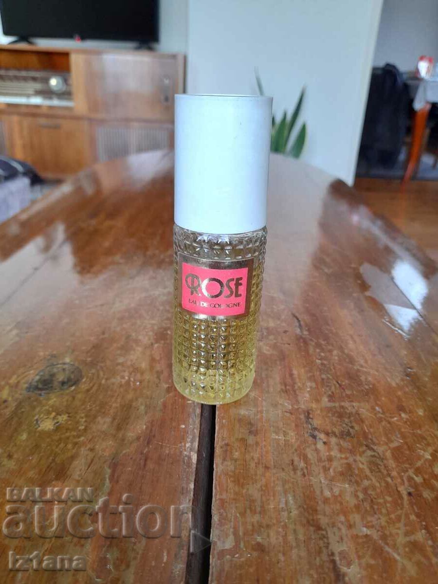 Old cologne Rose, Rose Old cologne Rose, Rose