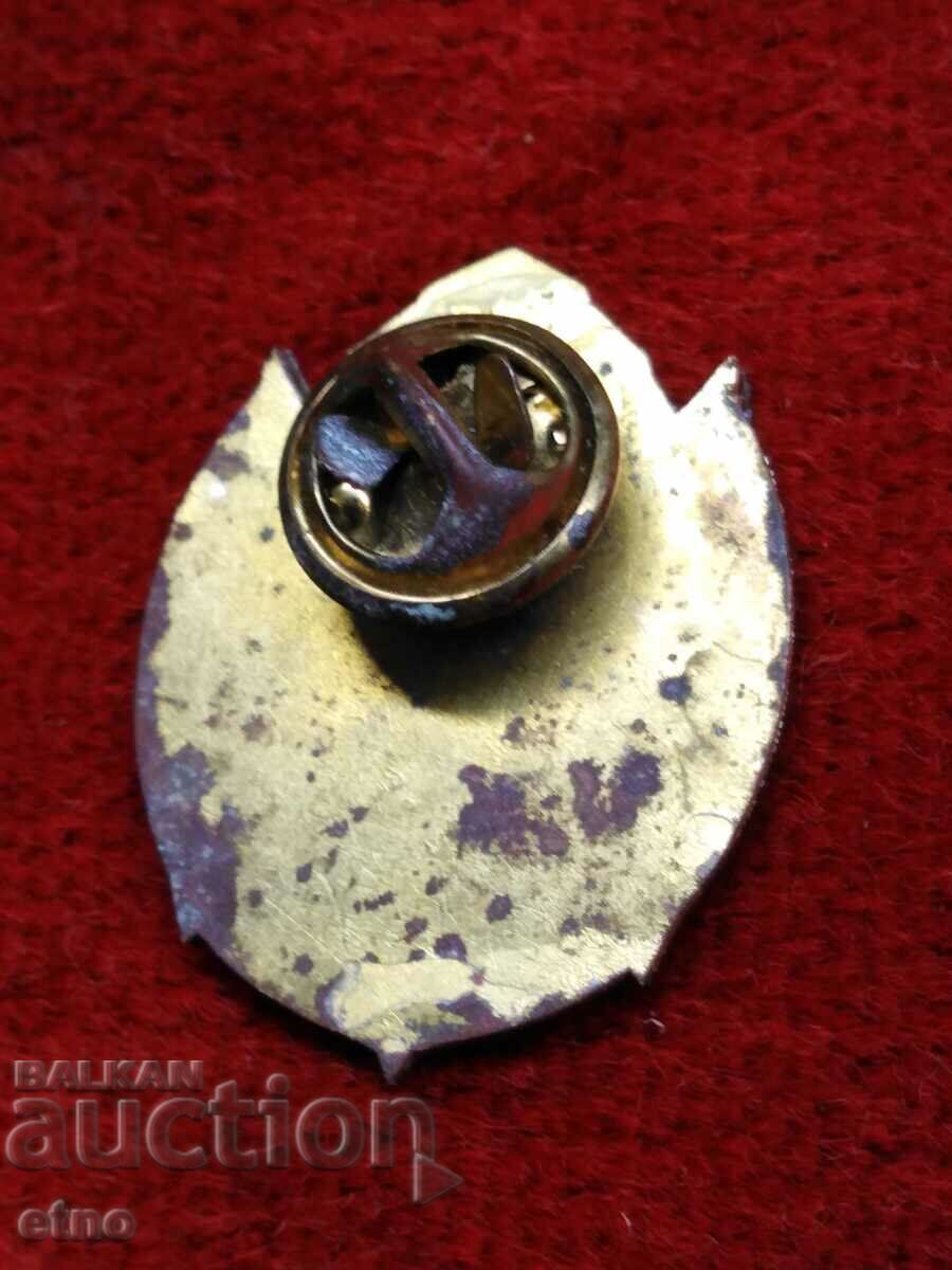 Delivery of AIR FORCE PARACHUTE BADGE, BULGARIAN PARACHUTE TROOPS, NATO, badge