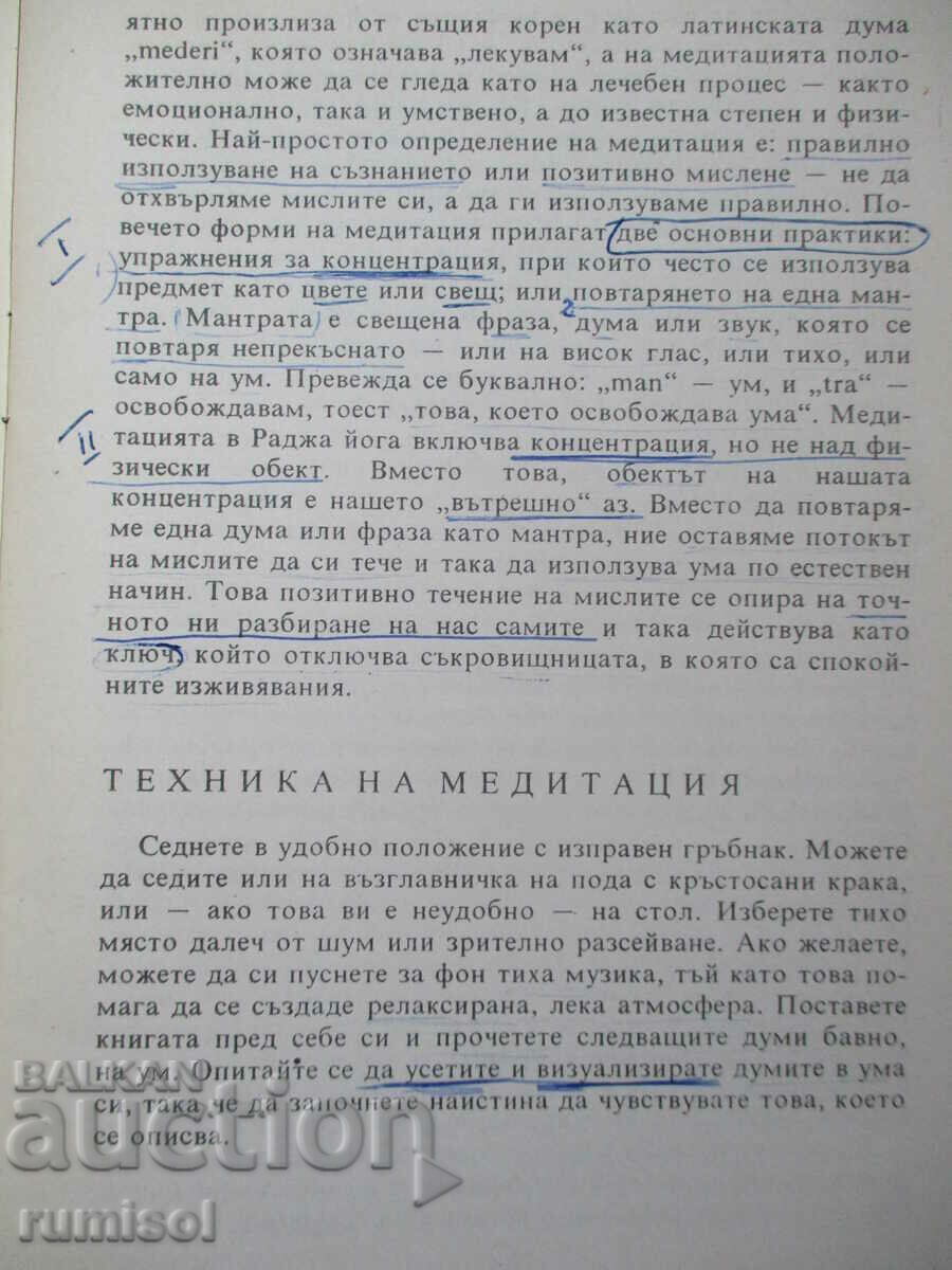 Auction  Practical Meditation