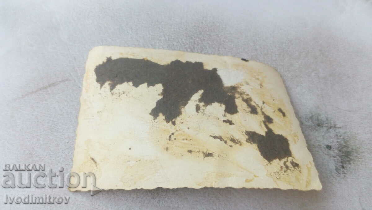 Photo Plovdiv Three young girls above the city with price 0.85 BGN | € 0.43 Photo Plovdiv Three young girls above the city with price 0.85 BGN | € 0.43