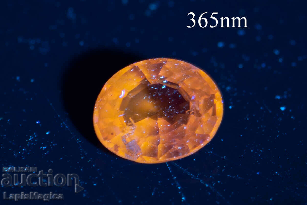 Yellow sapphire untreated 0.41ct orange fluorescence oval with price 32.00 BGN | € 16.36 Yellow sapphire untreated 0.41ct orange fluorescence oval with price 32.00 BGN | € 16.36