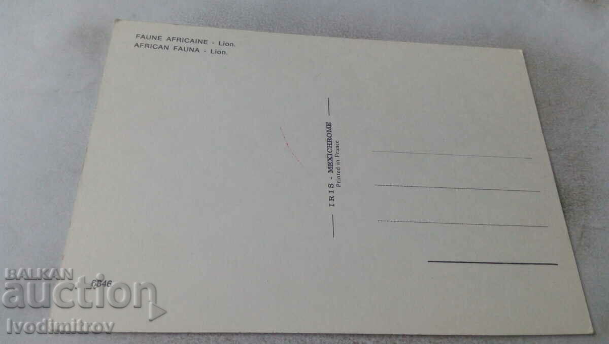 Carte poștală Leul Fauna Africană cu preț 0.75 BGN | € 0.38 Carte poștală Leul Fauna Africană cu preț 0.75 BGN | € 0.38