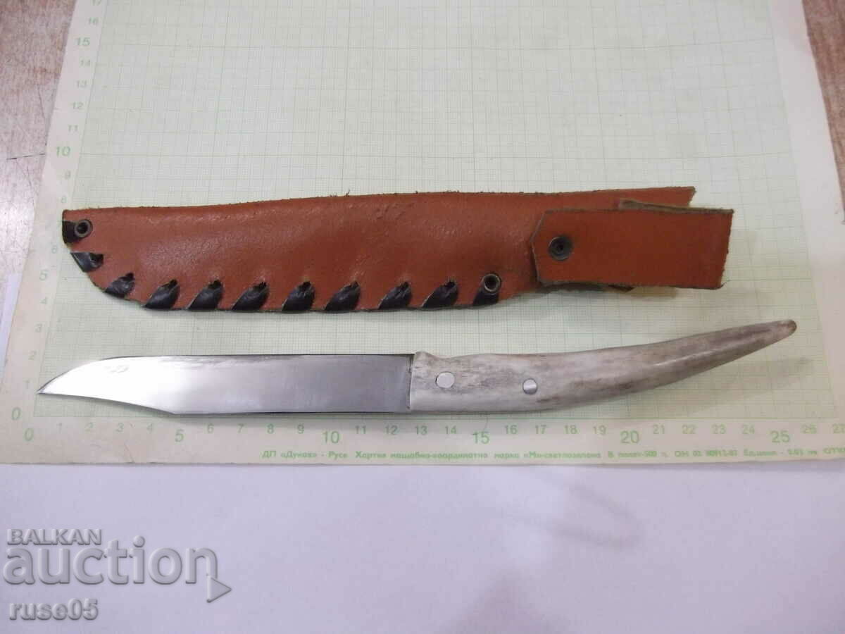 Delivery of A knife with a bone handle and a leather sheath from the cooperative
