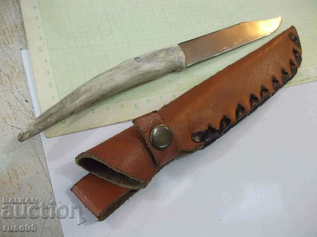 A knife with a bone handle and a leather sheath from the cooperative - 5