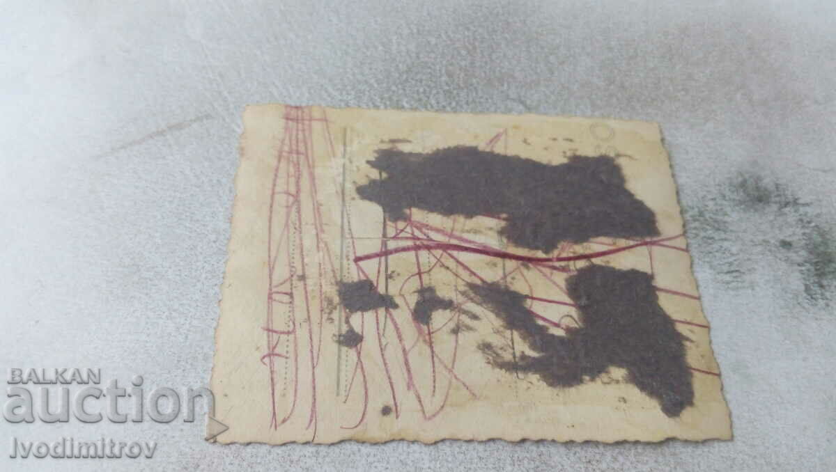 Φωτογραφία Νεαρά κορίτσια με μαγιό rib στην παραλία με τιμή 1.65 BGN | € 0.84 Φωτογραφία Νεαρά κορίτσια με μαγιό rib στην παραλία με τιμή 1.65 BGN | € 0.84