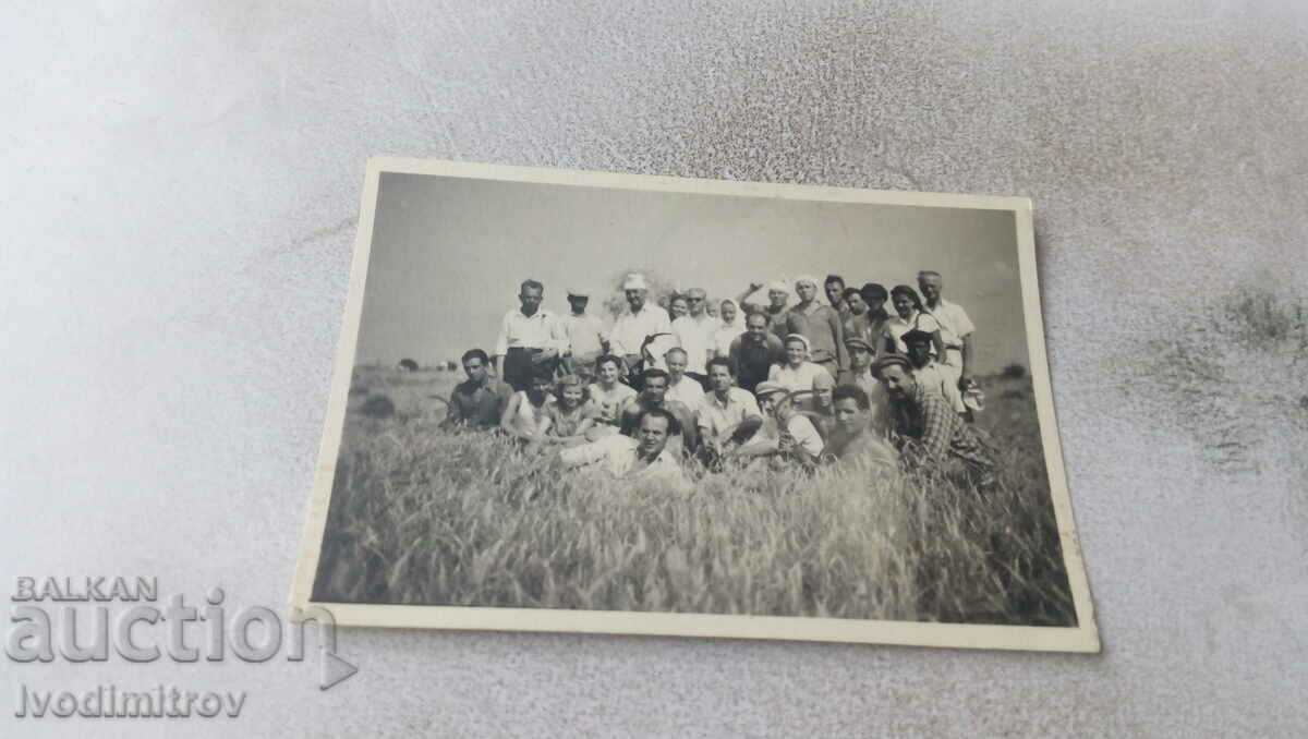 Picture Men and women among ears of wheat