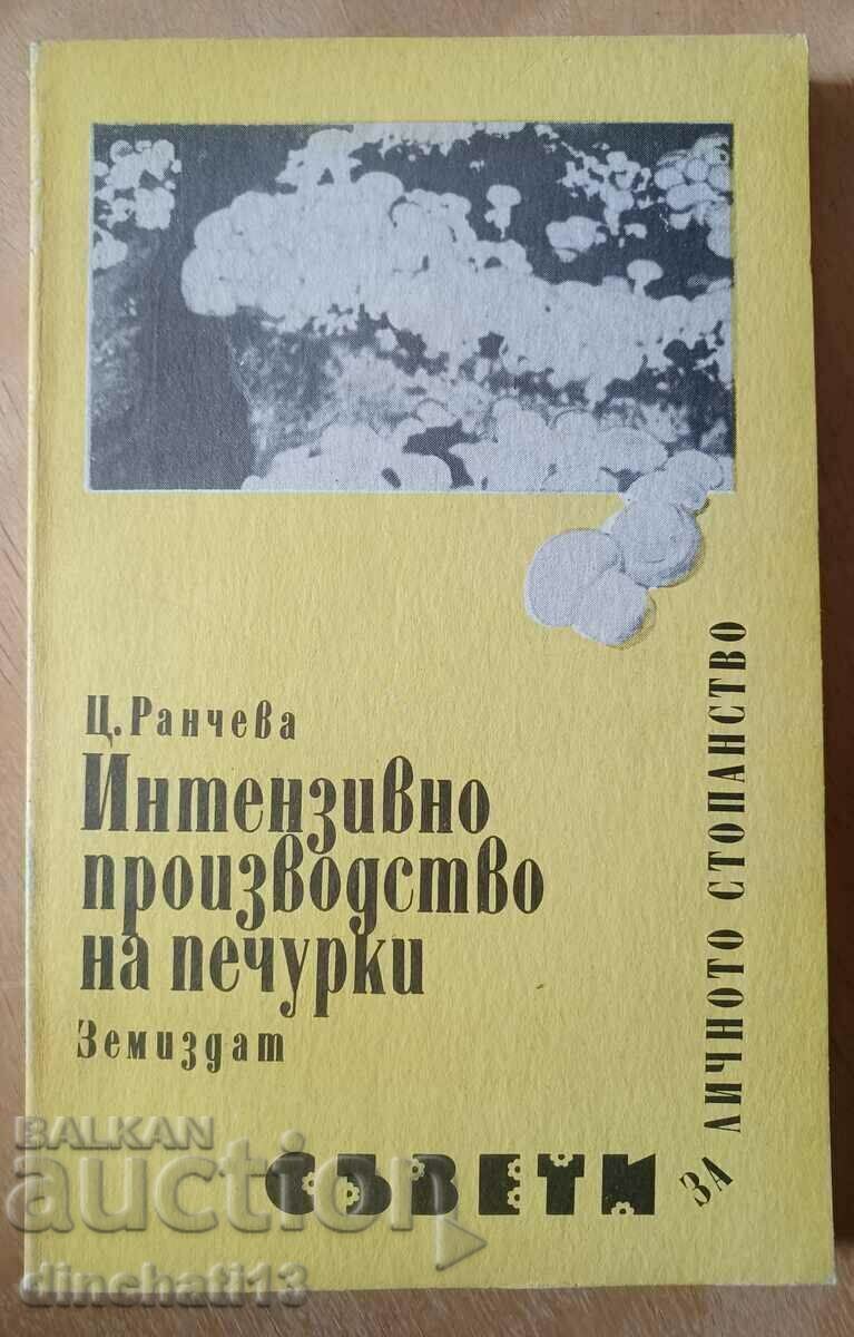 Интензивно производство на печурки - Цветана Ранчева