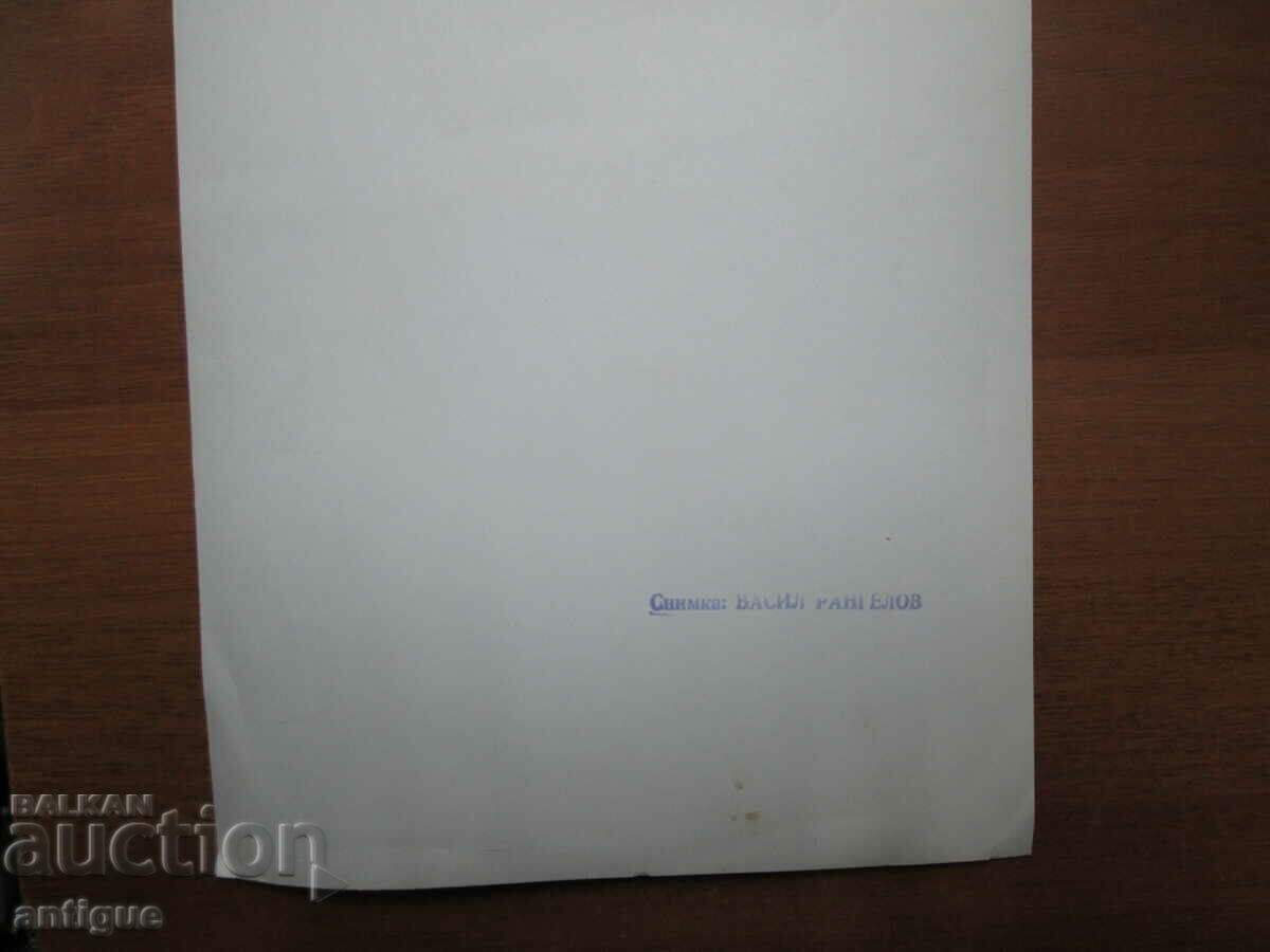 Δημοπρασία Τόντορ Ζίβκοφ Δημοπρασία Τόντορ Ζίβκοφ