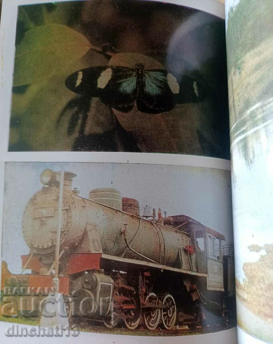 Delivery of In the jungles of Amazonia - Karel Rataj