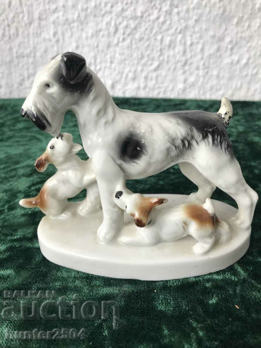 Κουτάβια-12/11 cm Γερμανία με τιμή € 22.95 | 44.89 BGN