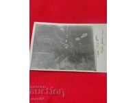 ΓΚΑΜΠΡΟΒΟ - 1916