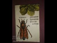 Bees - winged pharmacists N. Ioirish
