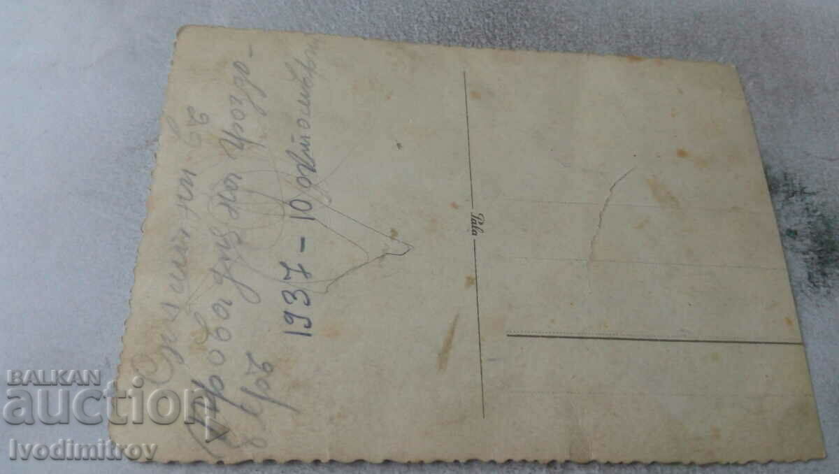 Photo Provadia Two men women boy and donkey at grape harvest with price 2.65 BGN | € 1.35 Photo Provadia Two men women boy and donkey at grape harvest with price 2.65 BGN | € 1.35