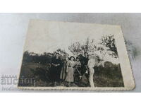 Photo Provadia Two men women boy and donkey at grape harvest