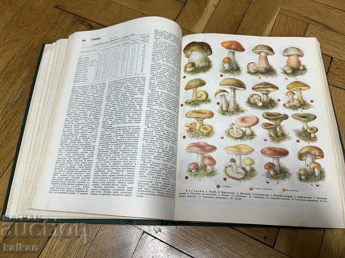 Παράδοση Ιατρική εγκυκλοπαίδεια Παράδοση Ιατρική εγκυκλοπαίδεια