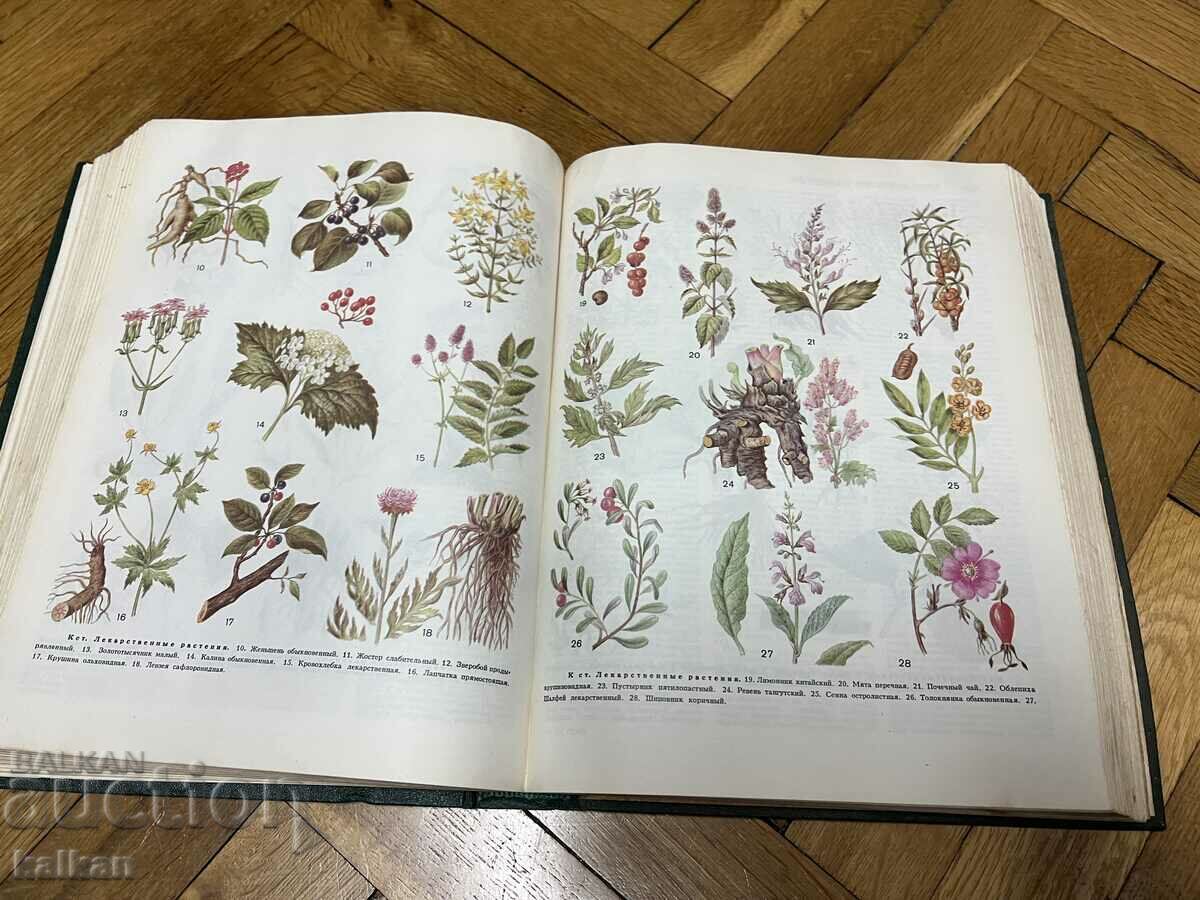 Ιατρική εγκυκλοπαίδεια - 5 Ιατρική εγκυκλοπαίδεια - 5