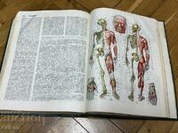 Medical encyclopedia