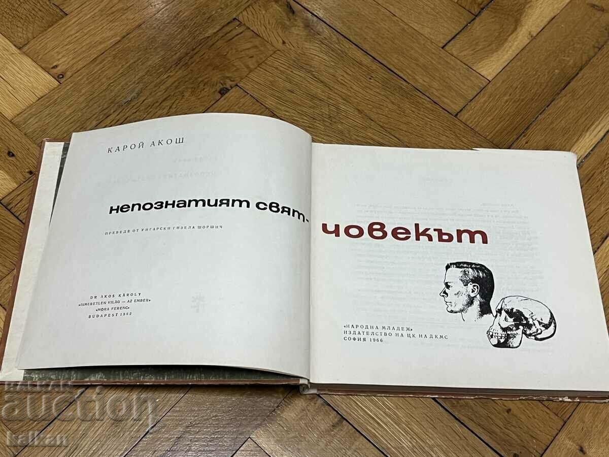 Auction  The unknown world-man - Karoi Akosh