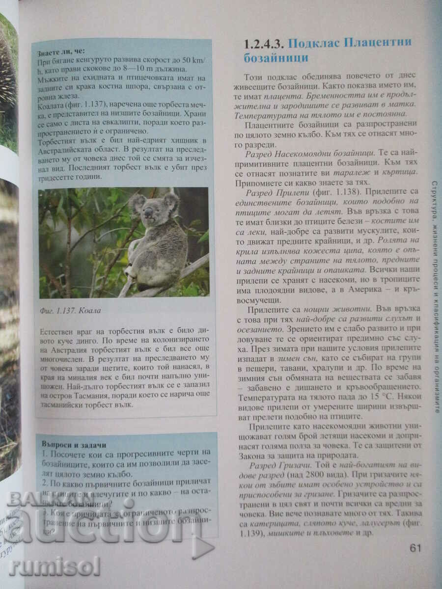 Auction Biology and others. education - 8th grade, Ishev, Prosveta Auction Biology and others. education - 8th grade, Ishev, Prosveta