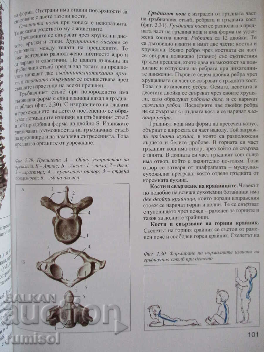 Biology and others. education - 8th grade, Ishev, Prosveta - 5 Biology and others. education - 8th grade, Ishev, Prosveta - 5