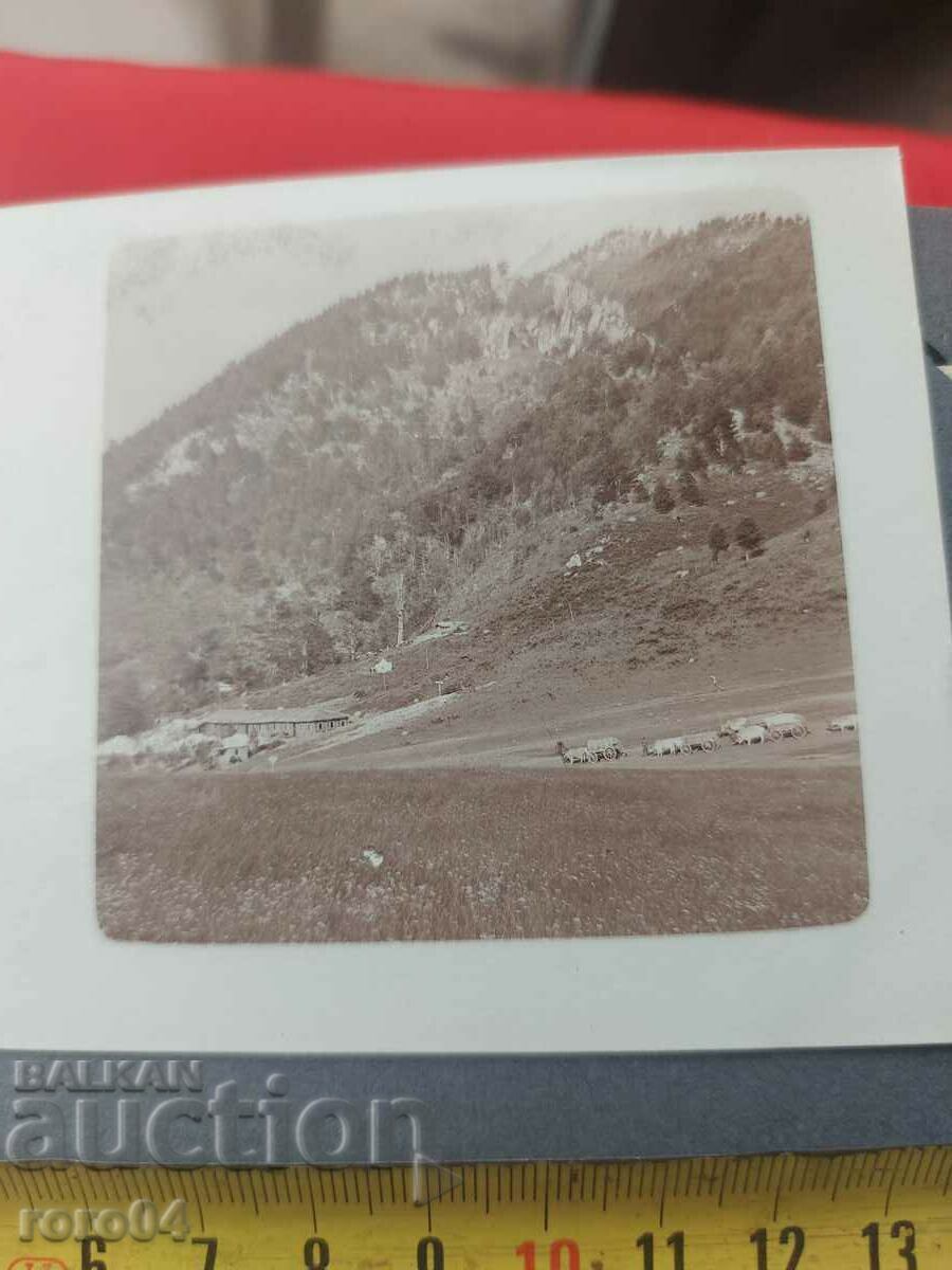Licitație FOTO VECHI DE RĂZBOI - Primul Război Mondial